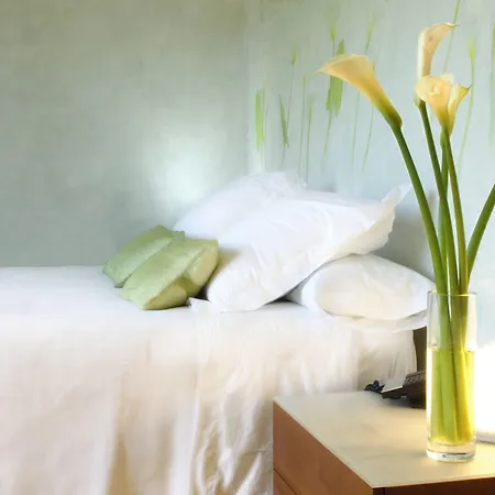 Boutique Urbisol מלון